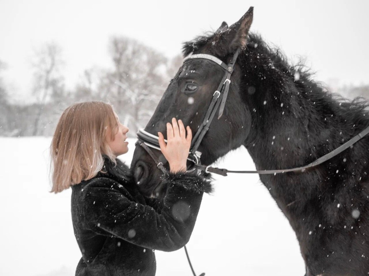 Лошадки зима. Фотограф Зинаида Евдокимова