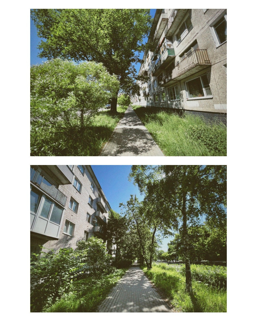 Vyborg. Alina Panover