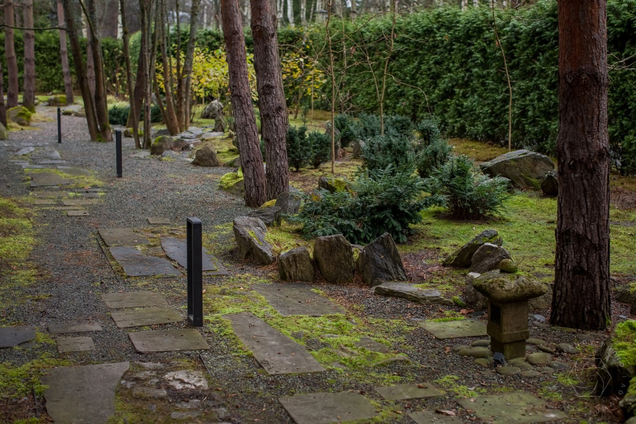 Сад мхов. Виталий Туманов — Ландшафтный фотограф