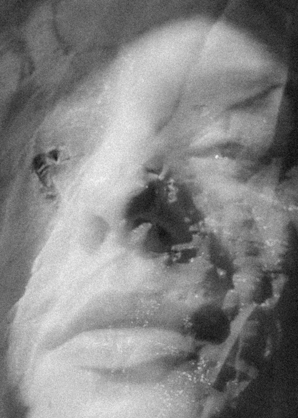 Таня Красехина «Иду к себе, домой». Private image