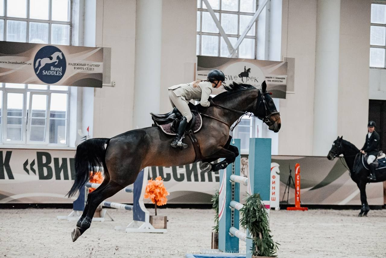 ВСЕРОССИЙСКИЕ СОРЕВНОВАНИЯ ПО КОНКУРУ КСК «ВИВАТ, РОССИИЯ». Куракина Дарья • Конный фотограф