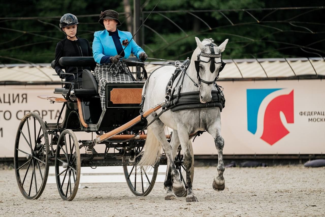 Чемпионат по ДРАЙВИНГУ. Куракина Дарья • Конный фотограф