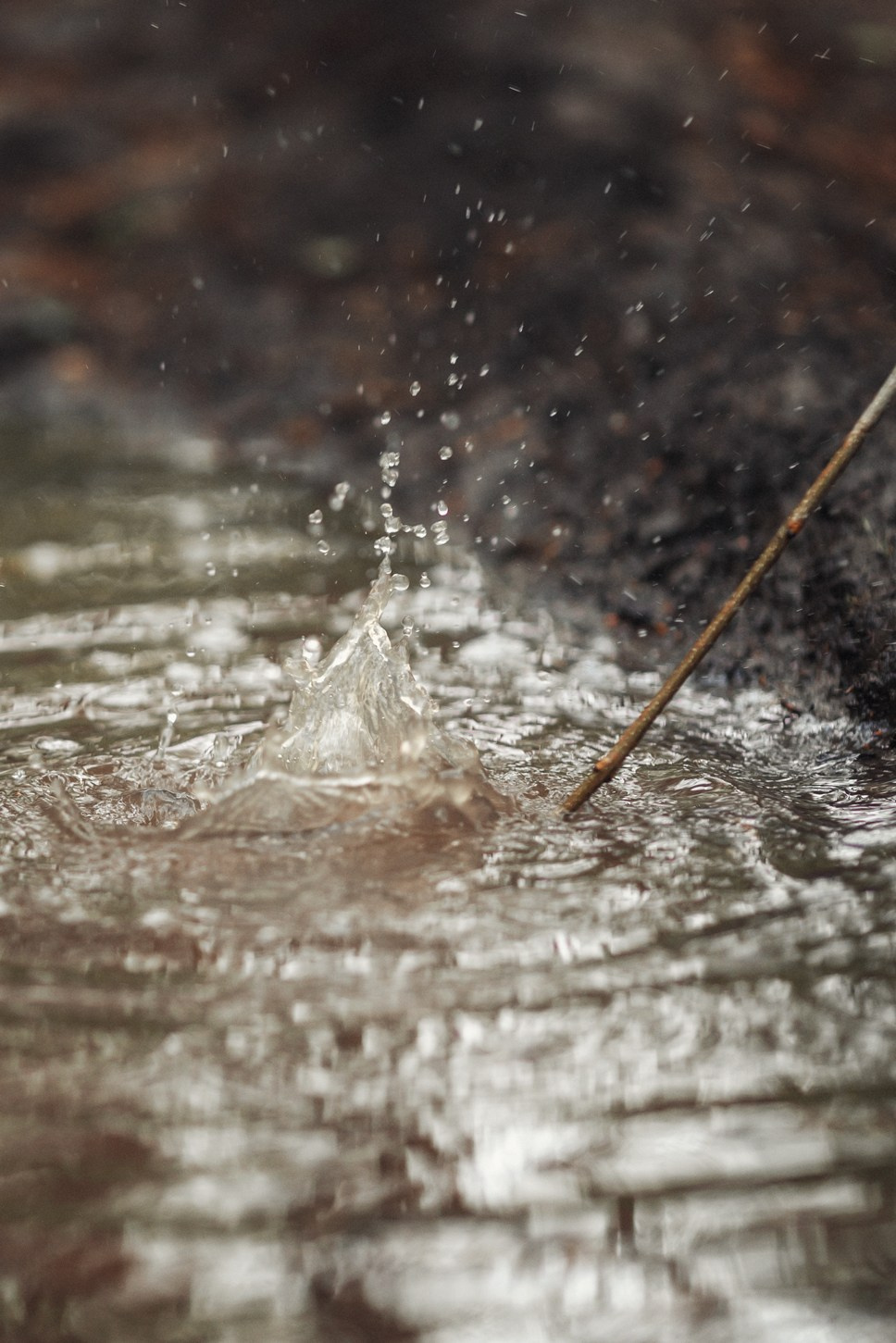 Гулять по лужам. Семейный и детский фотограф |Брянск| Анастасия Перепелкина