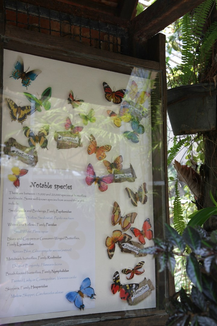 Тайланд 2014 г. Улица, люди, жизнь…