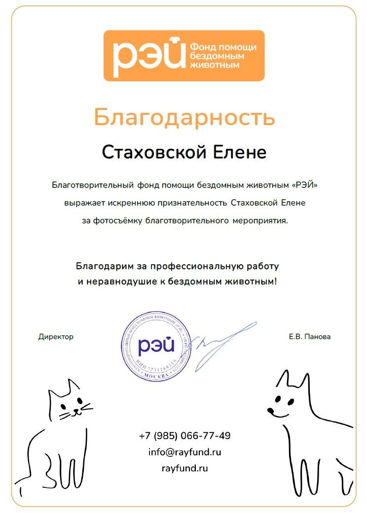 Благодарственные письма. Портретный и семейный фотограф в Москве Стаховская Елена