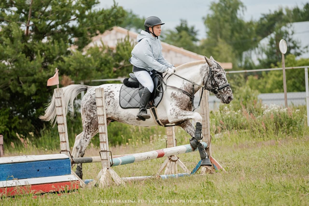 ЛЕТНИЙ КУБОК по КОНКУРУ, КСК «СОЗВЕЗДИЕ». Куракина Дарья • Конный фотограф