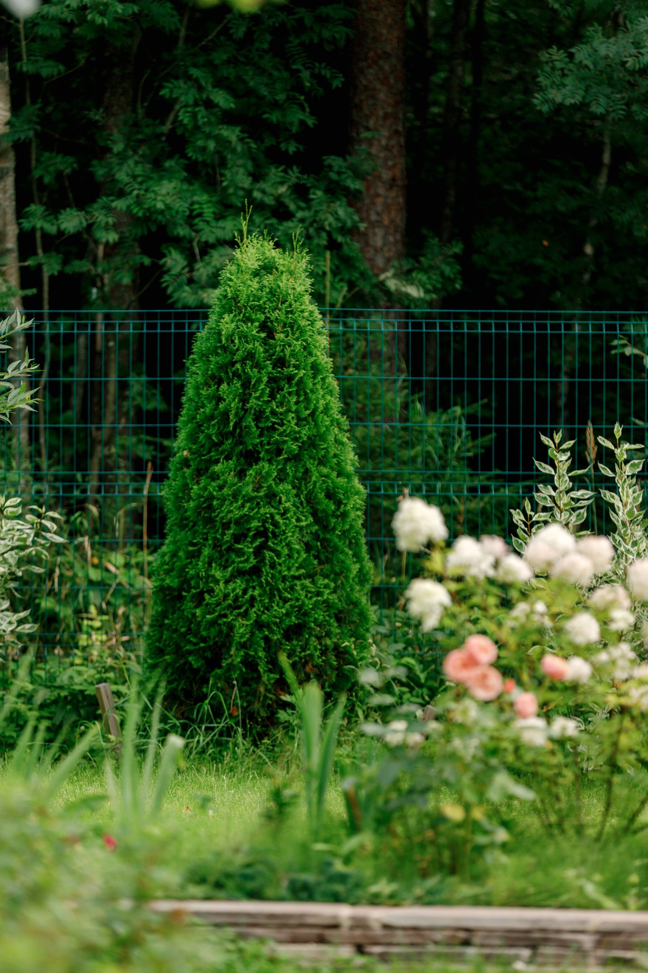 Загородный дом. Ландшафтный дизайн. Репортажный фотограф в Санкт-Петербурге Жолудев Владислав