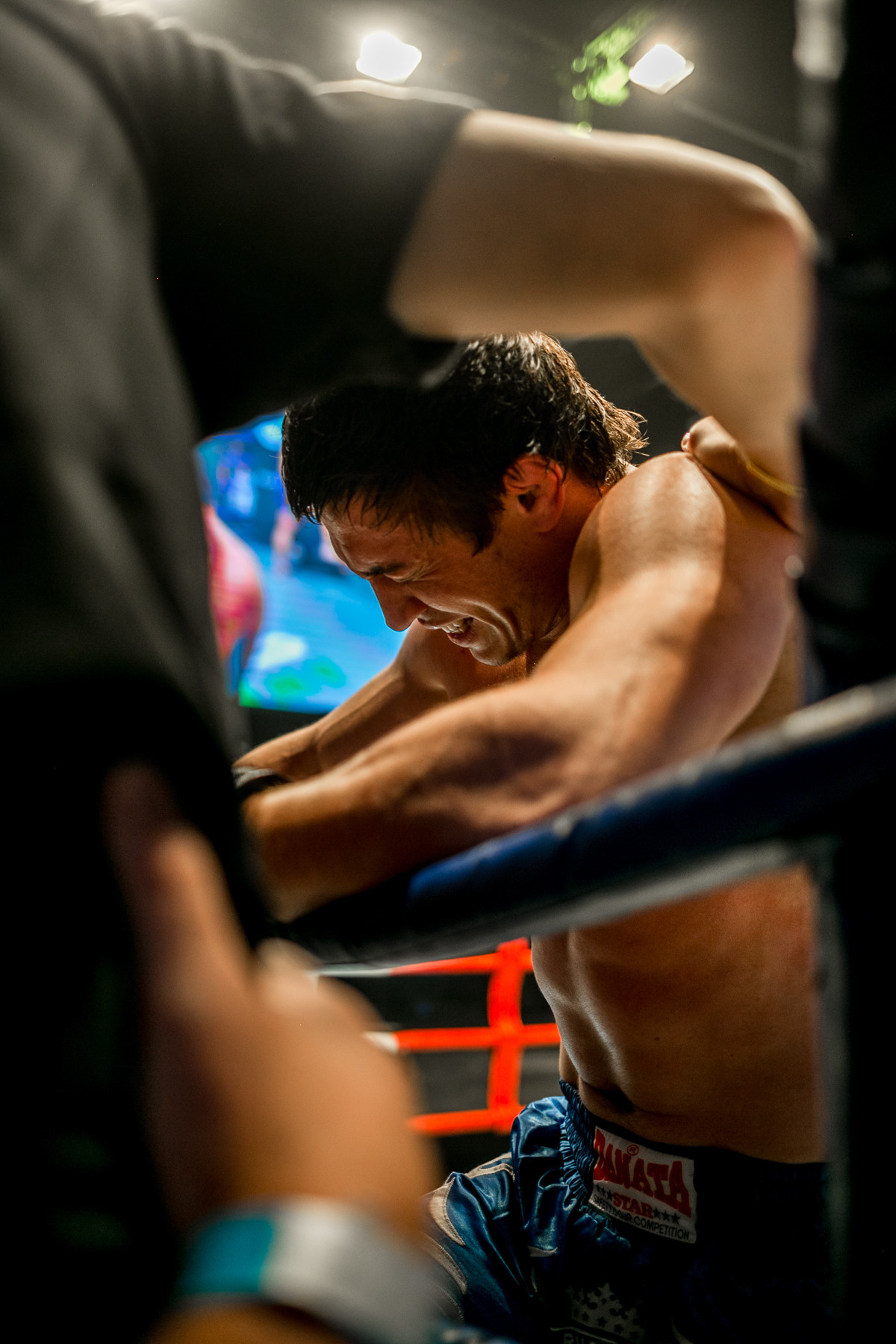 РЕПОРТАЖ БОКС, ЕДИНОБОРСТВА. Спортивный фотограф Нижний Новгород