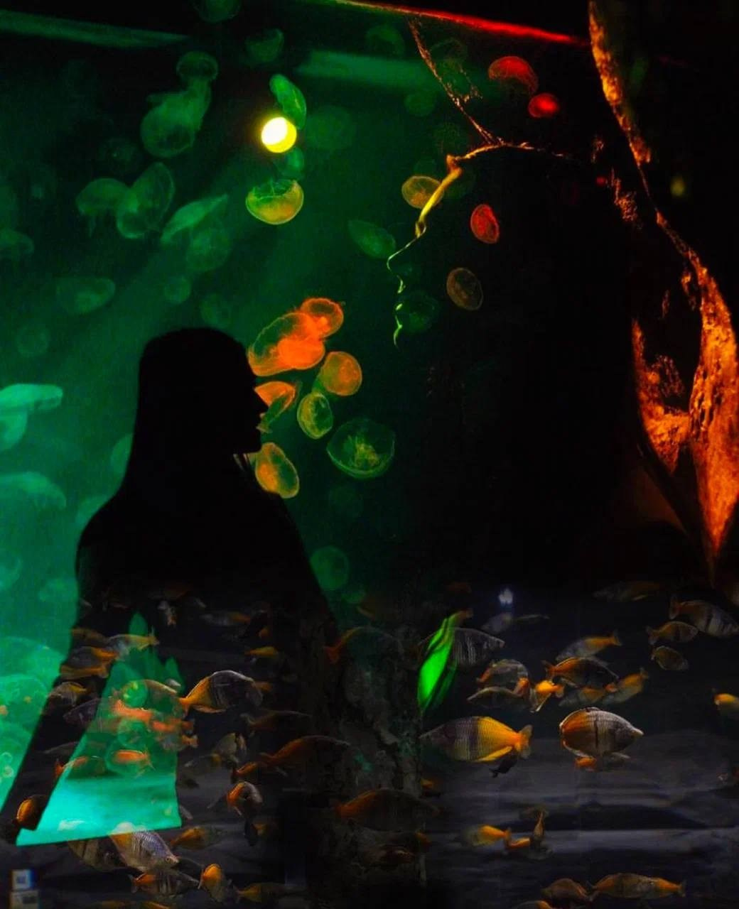 Океонариум. Костюмер, художник кино и телевидения в спб