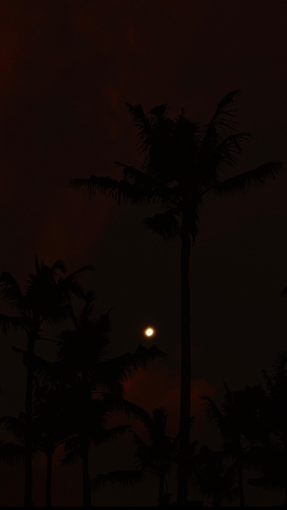 With open eyes. Carolinetru