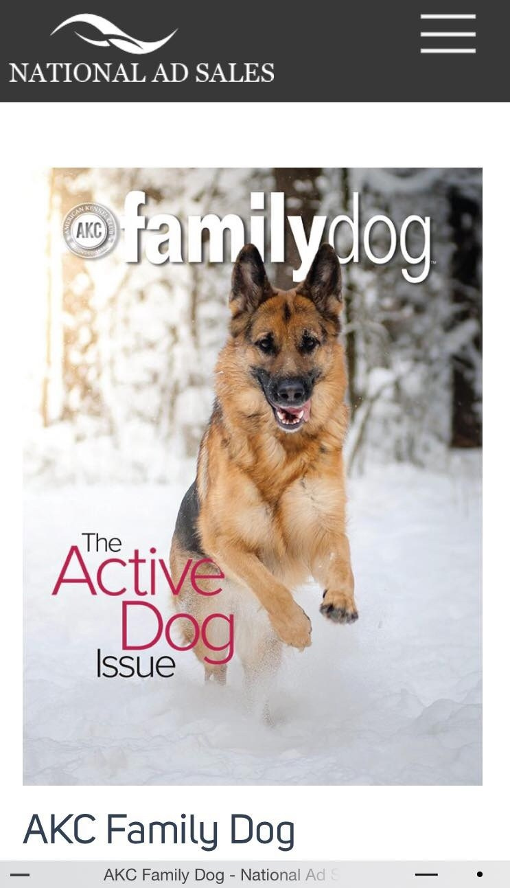 О фотографе TitAnya. Фотограф собак, фотограф-анималист Аня Титова (Titanya). Москва