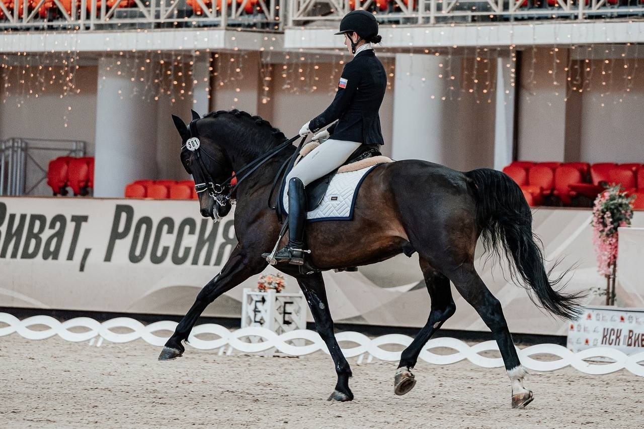 Кубок России по конному спорту лиц с ПОДА. Куракина Дарья • Конный фотограф