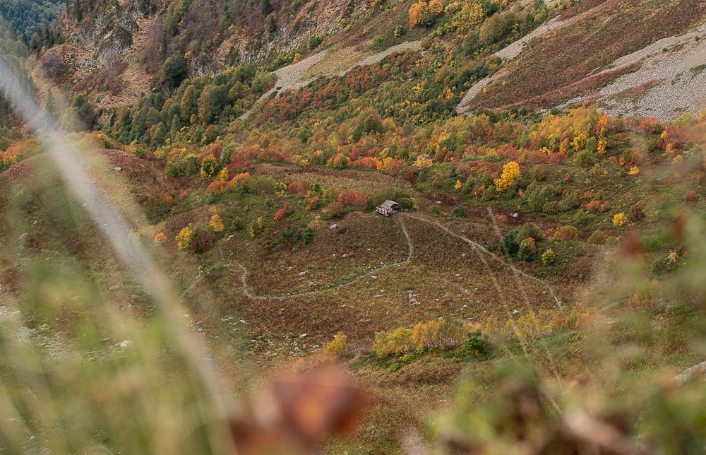 Трейловый бег «Альпиндустрия. Три курорта''. Репортажный фотограф в Красной Поляне и Сочи Павлюченко Екатерина