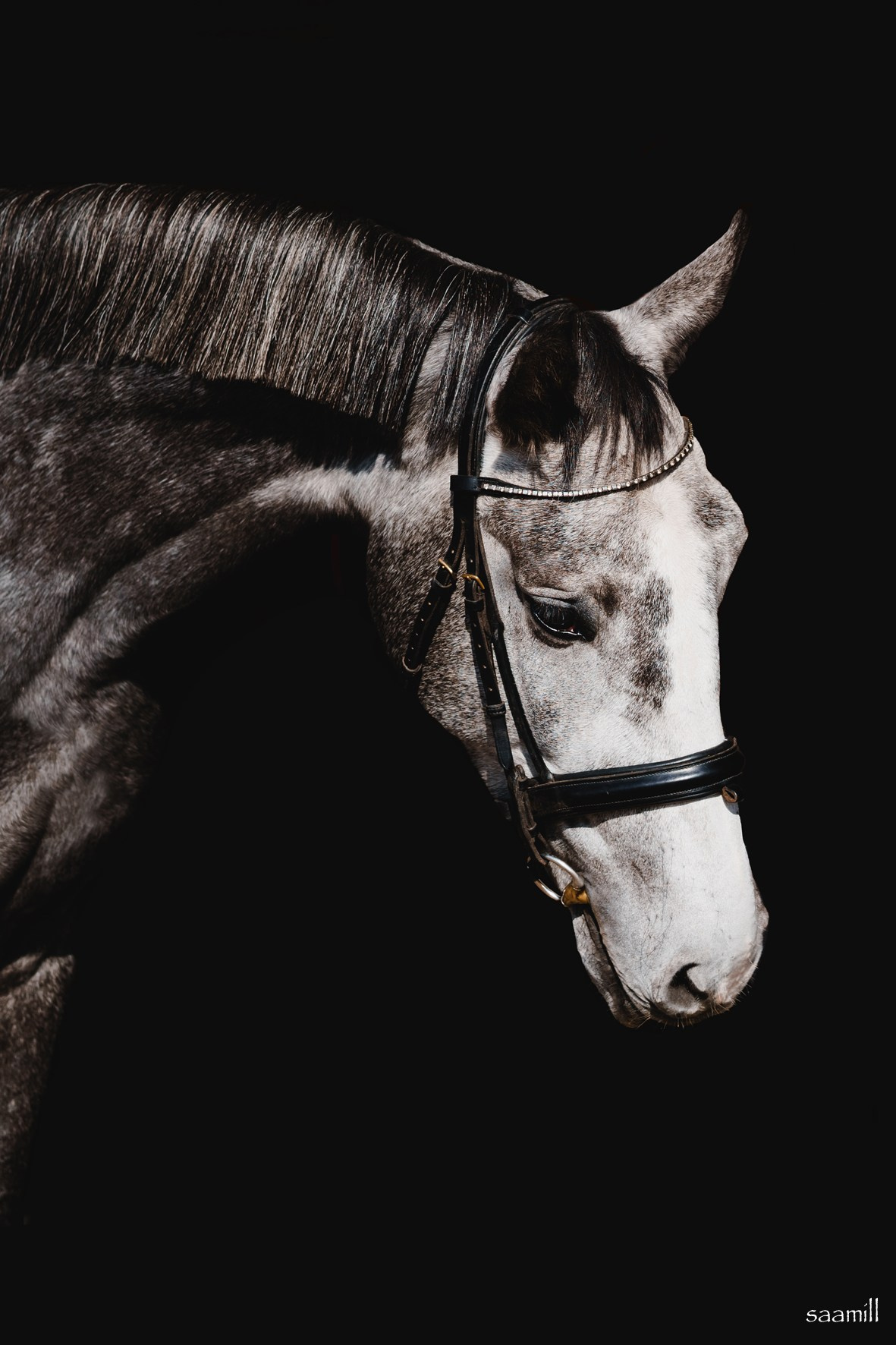 Life with horse. Saamill