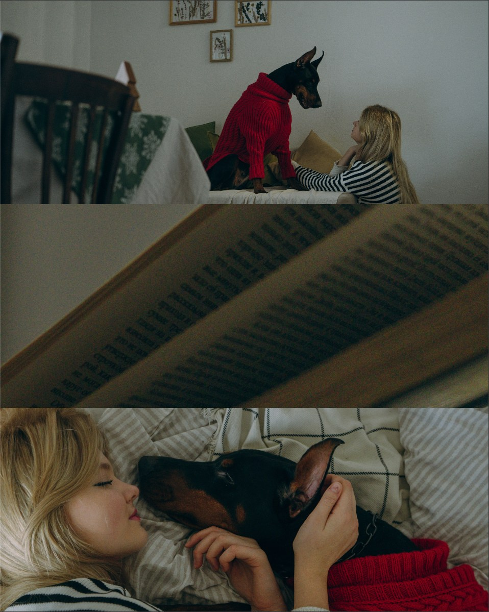 Саша и Асти. Фотограф анималист в Москве и Санкт-Петербурге Свиридова Анна