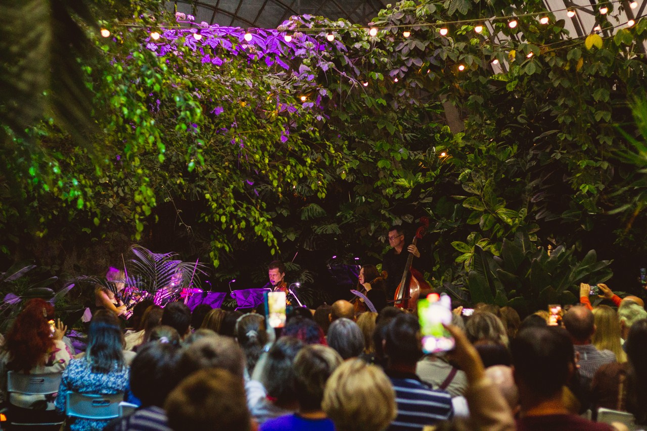 Petro Art — квартет в Таврическом саду (Рок Хиты). EvgenyCraft