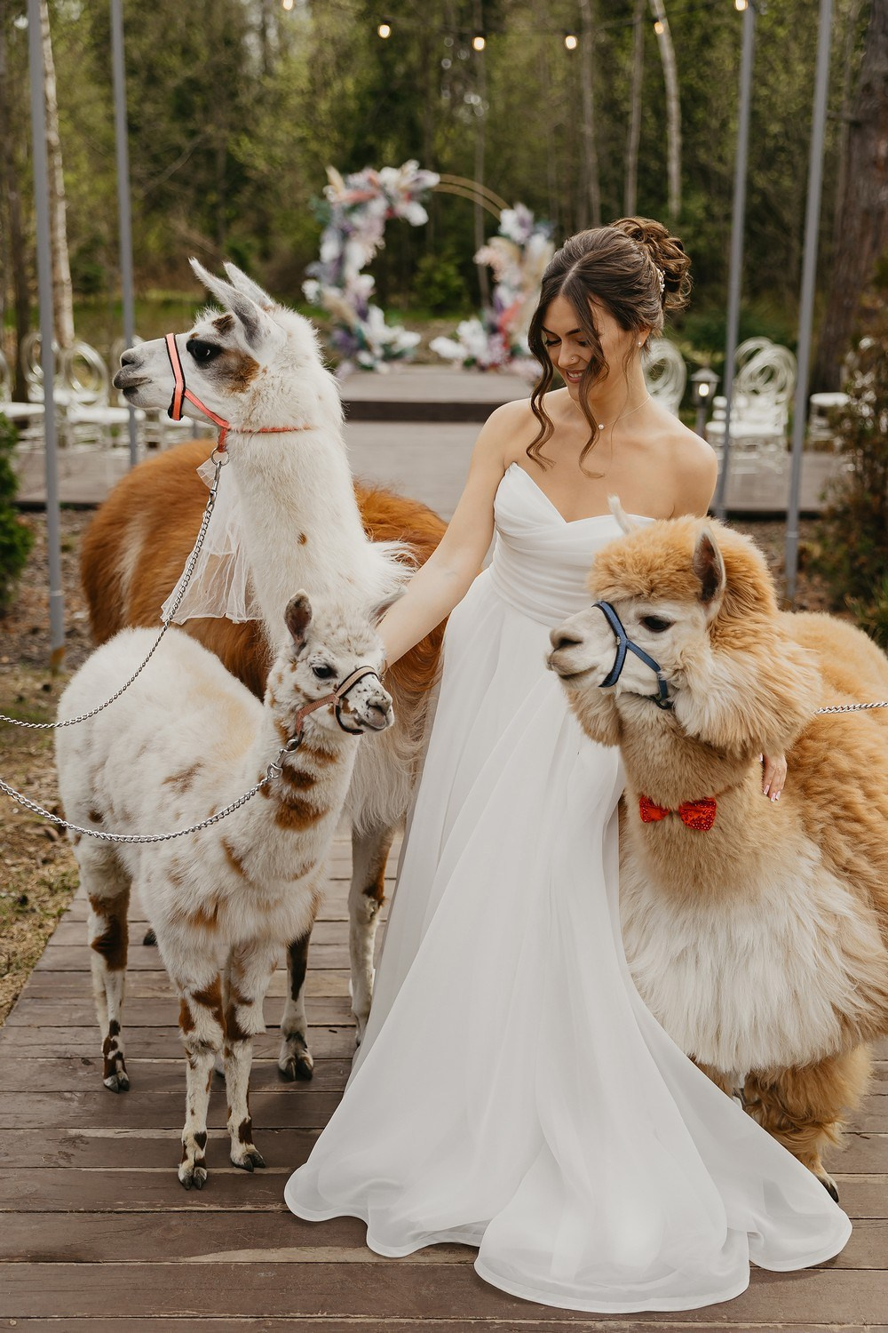 Фотограф Аданькин. Подрядчики и друзья сети свадебных площадок House for wedding