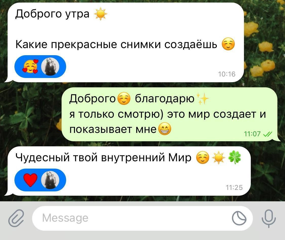 Отзывы. VITA · visual therapy arts