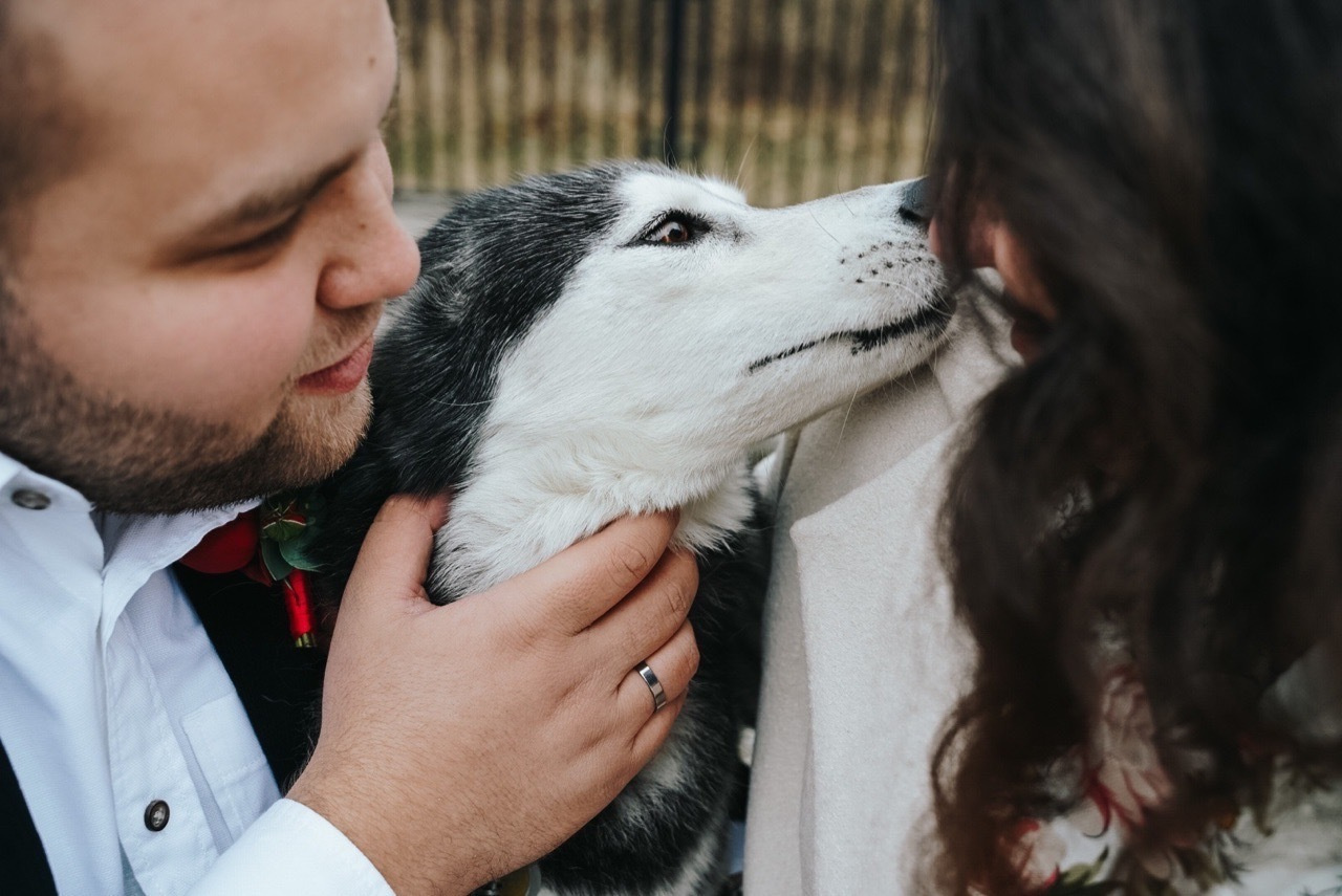 Елена & Илья & Нюша. Портретный фотограф в Москве