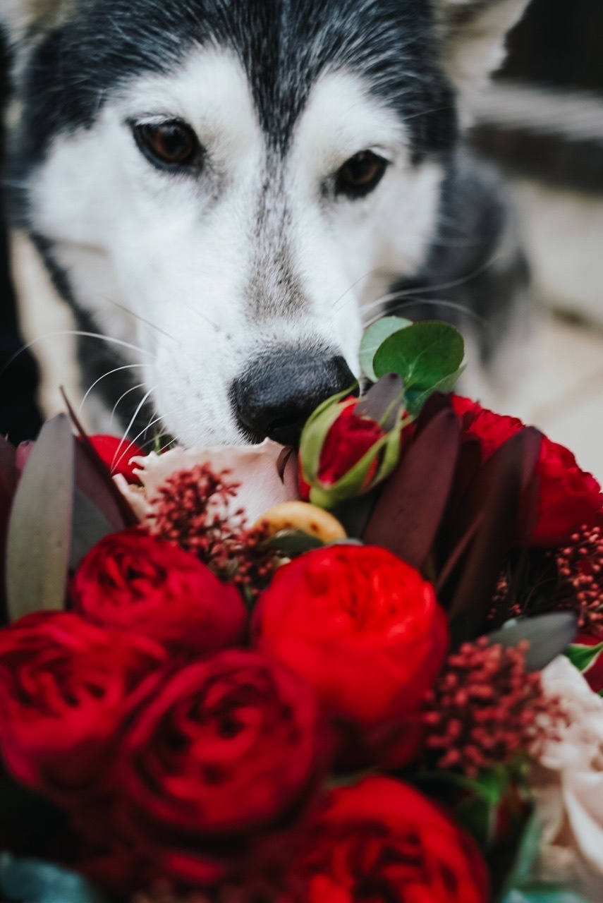 Елена & Илья & Нюша. Портретный фотограф в Москве