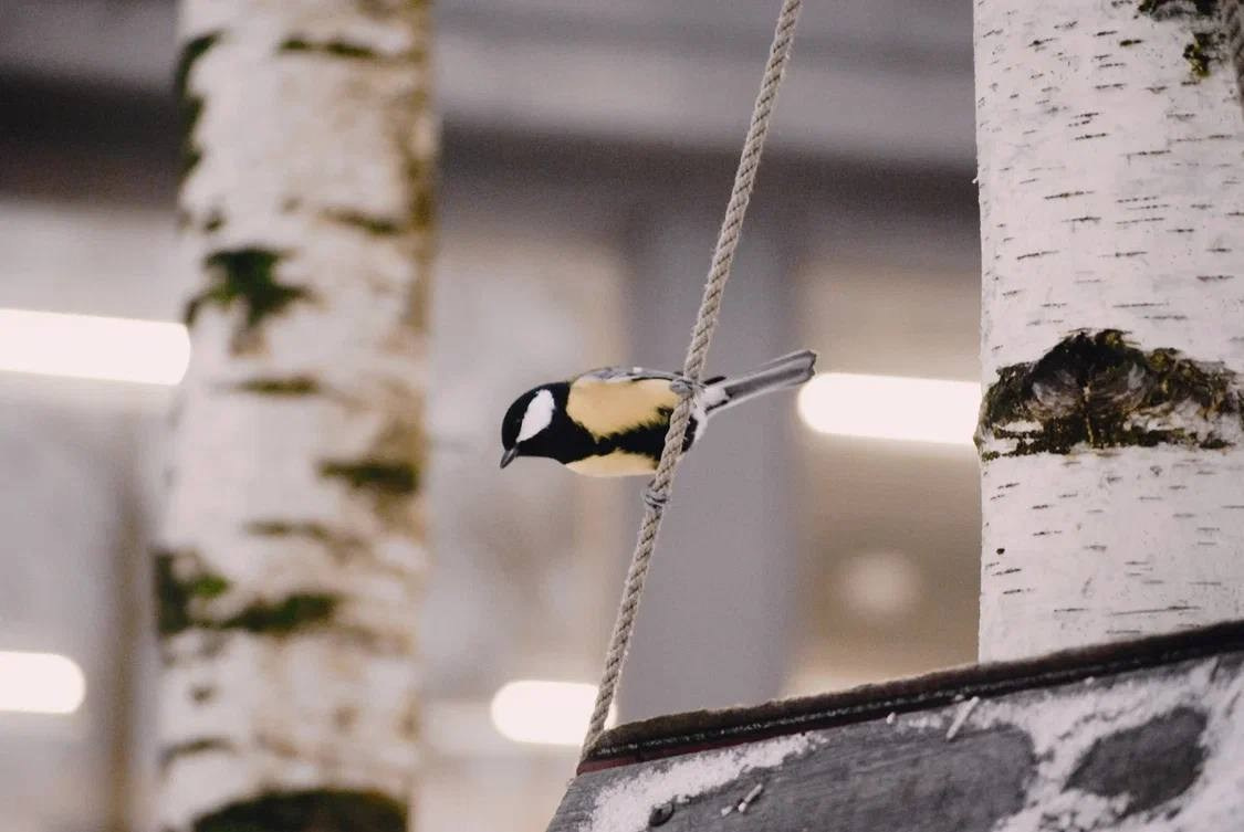 Городской пейзаж. Костюмер, художник кино и телевидения в спб
