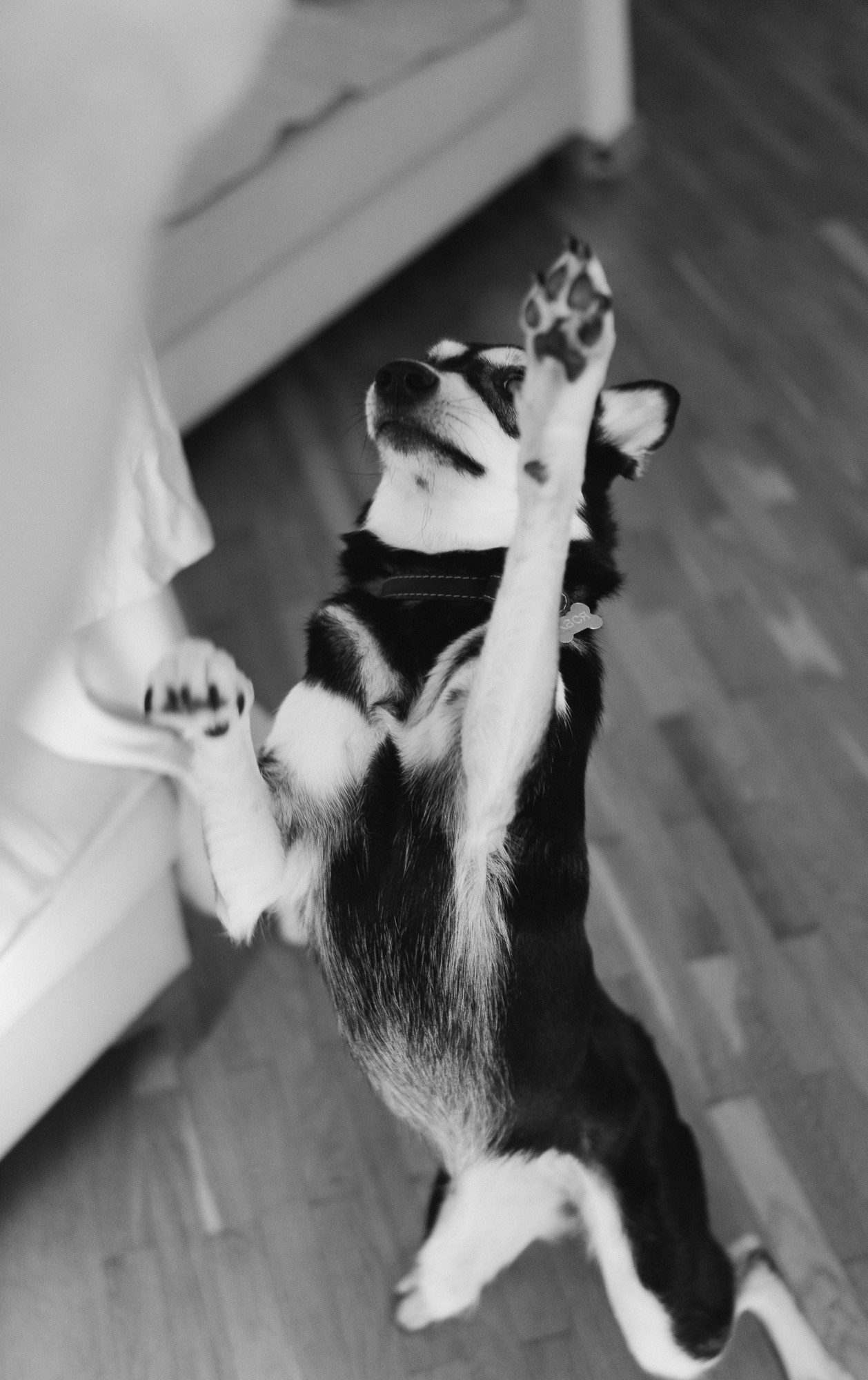 Тимофей в кругу семьи. Семейный, ньюборн фотограф, фотограф на роды в Москве, Виктория Тюльдюкова