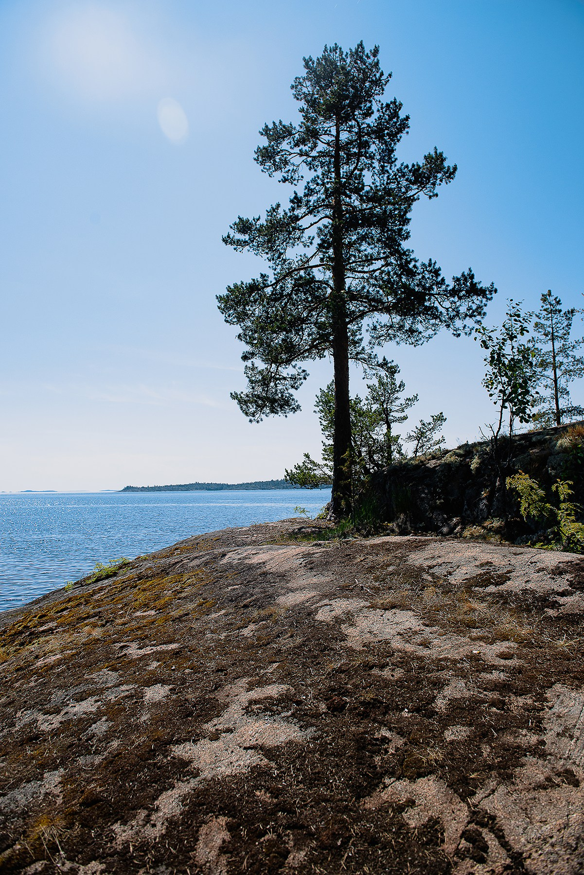 Карелия. Фотограф-анималист Наталья Светличная