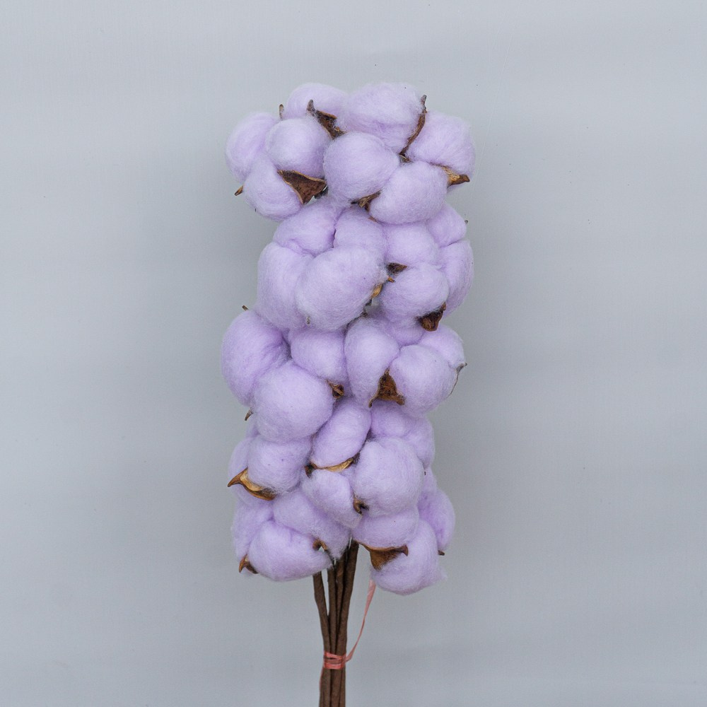 Сухоцветы. Фотограф в Екатеринбурге Яна Круташова