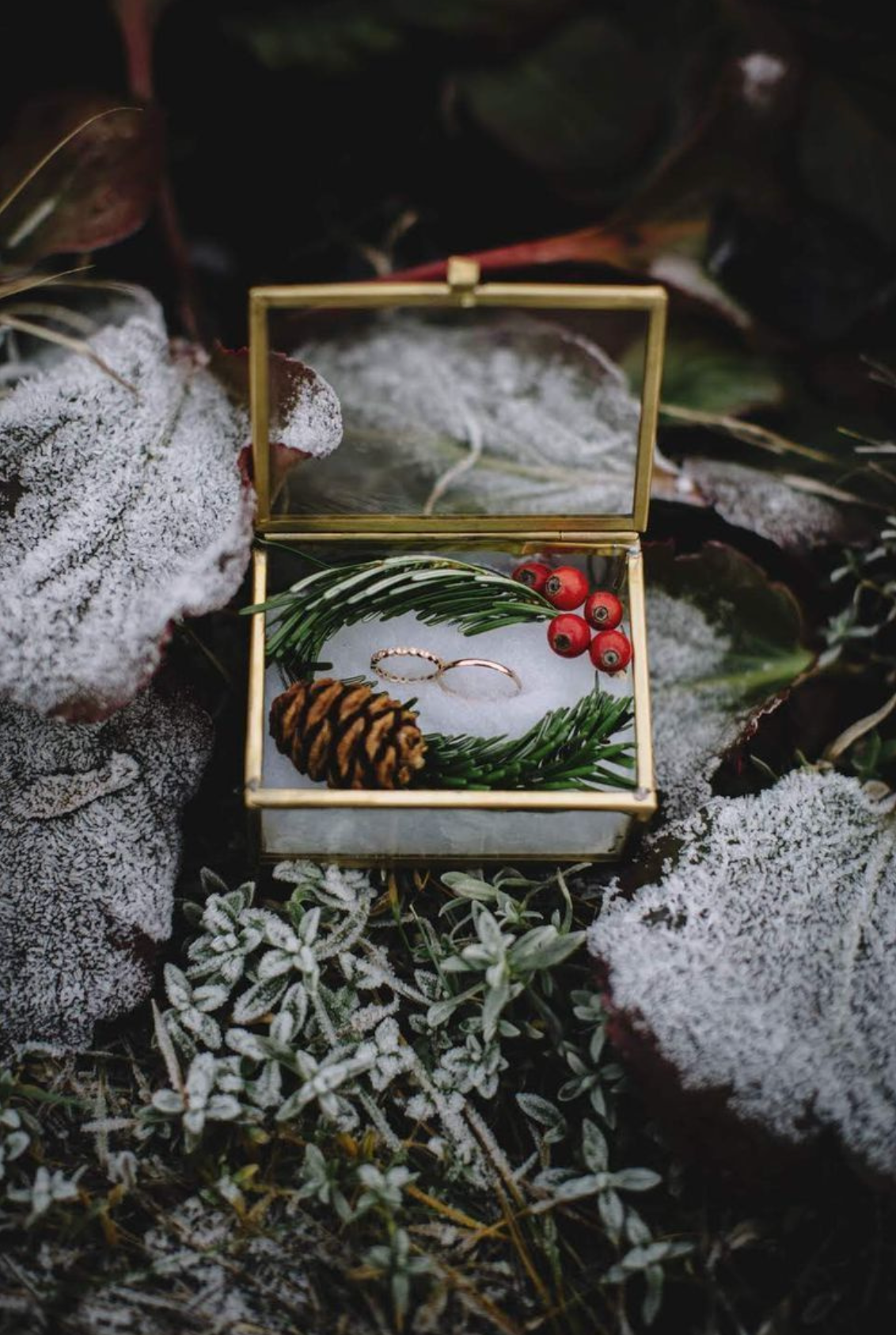 Свадьба зимой. Свадебный фотограф/видеограф Краснодар, Сочи, Волгоград, Москва, 8 937 693 00 80