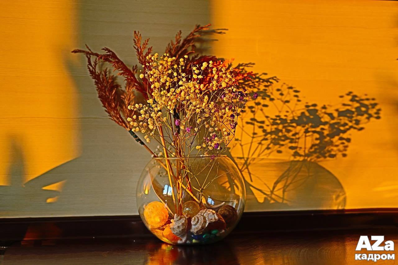 AZакадром Импрессинизм. Женский семейный фотограф Тула Москва Захарова Анна