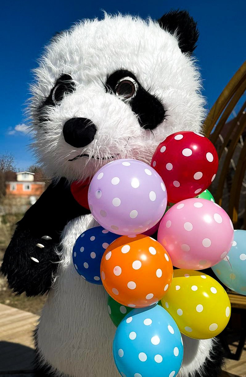 Эксперсс поздравление.ростовые куклы, медведь, панда, горилла. Организатор праздников. Ведущая Марина Гребенникова