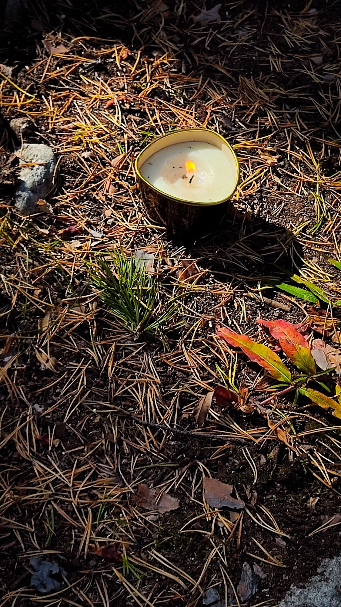 Репортаж с ретрита. Фотограф Ксения Соло