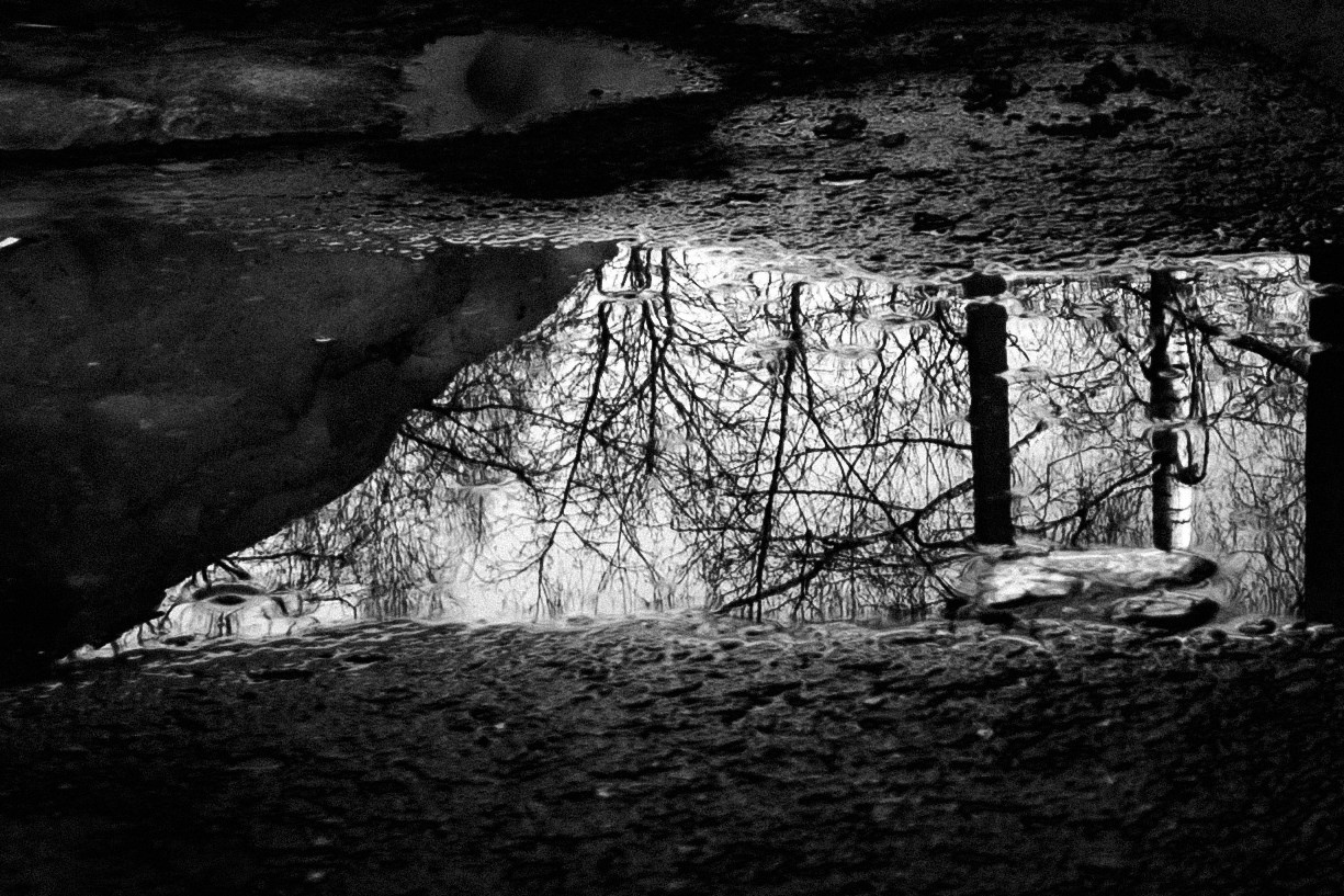 Фоточеллендж «30 дней — 30 фото». Олег Романов. Мастер фото по спорту