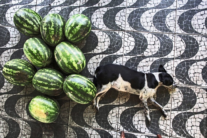 Мария Плотникова — фотограф, останавливающий мгновения!. Фотограф Михаил Мордасов, Сочи. Мероприятия, портреты, спорт, репортаж