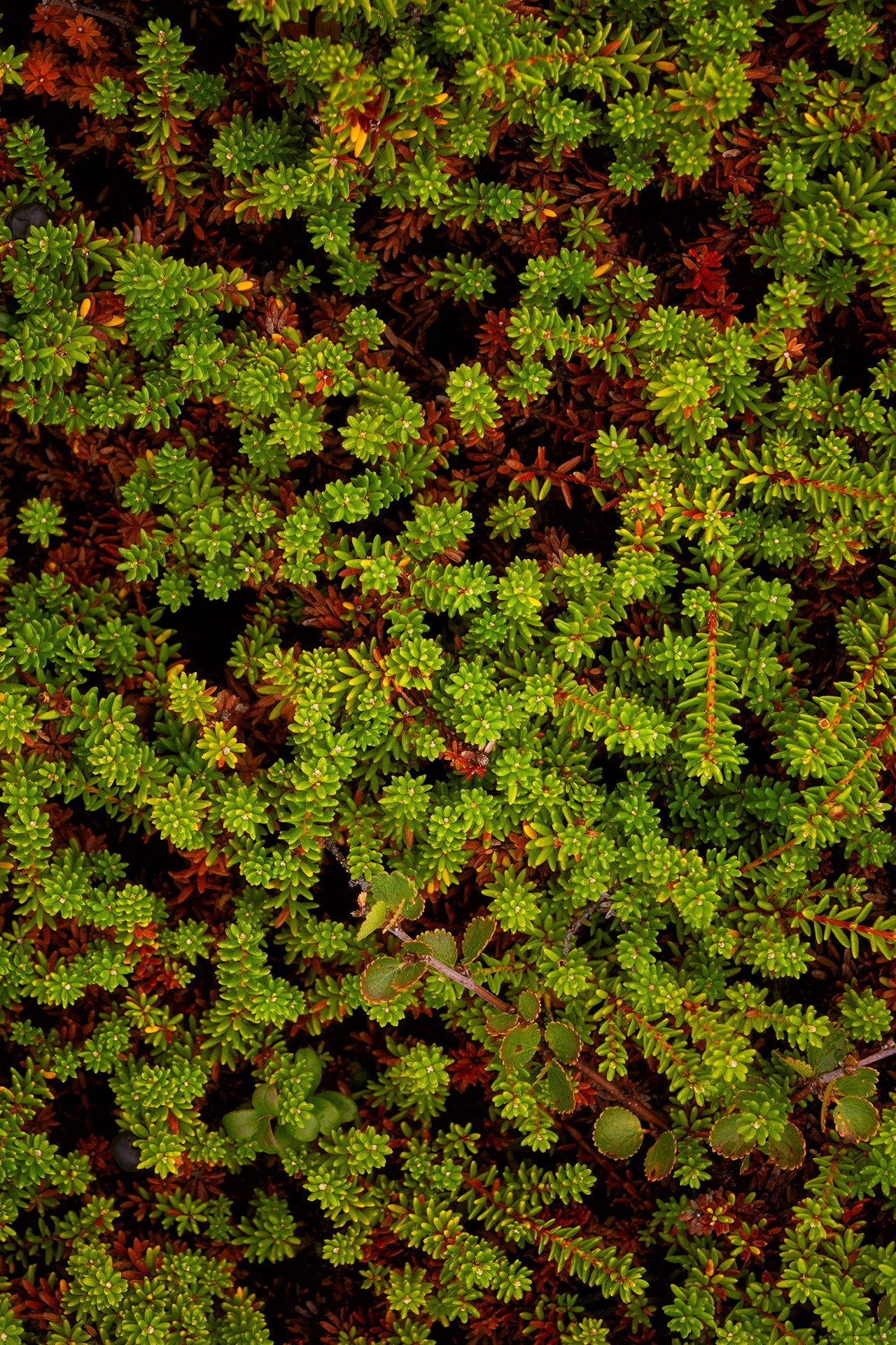 П-ов РЫБАЧИЙ. Фототуры и обучение пейзажной фотографии