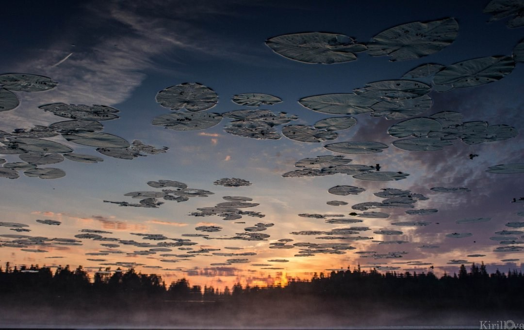 Моменты 2011-2016. Анастасия Либерти