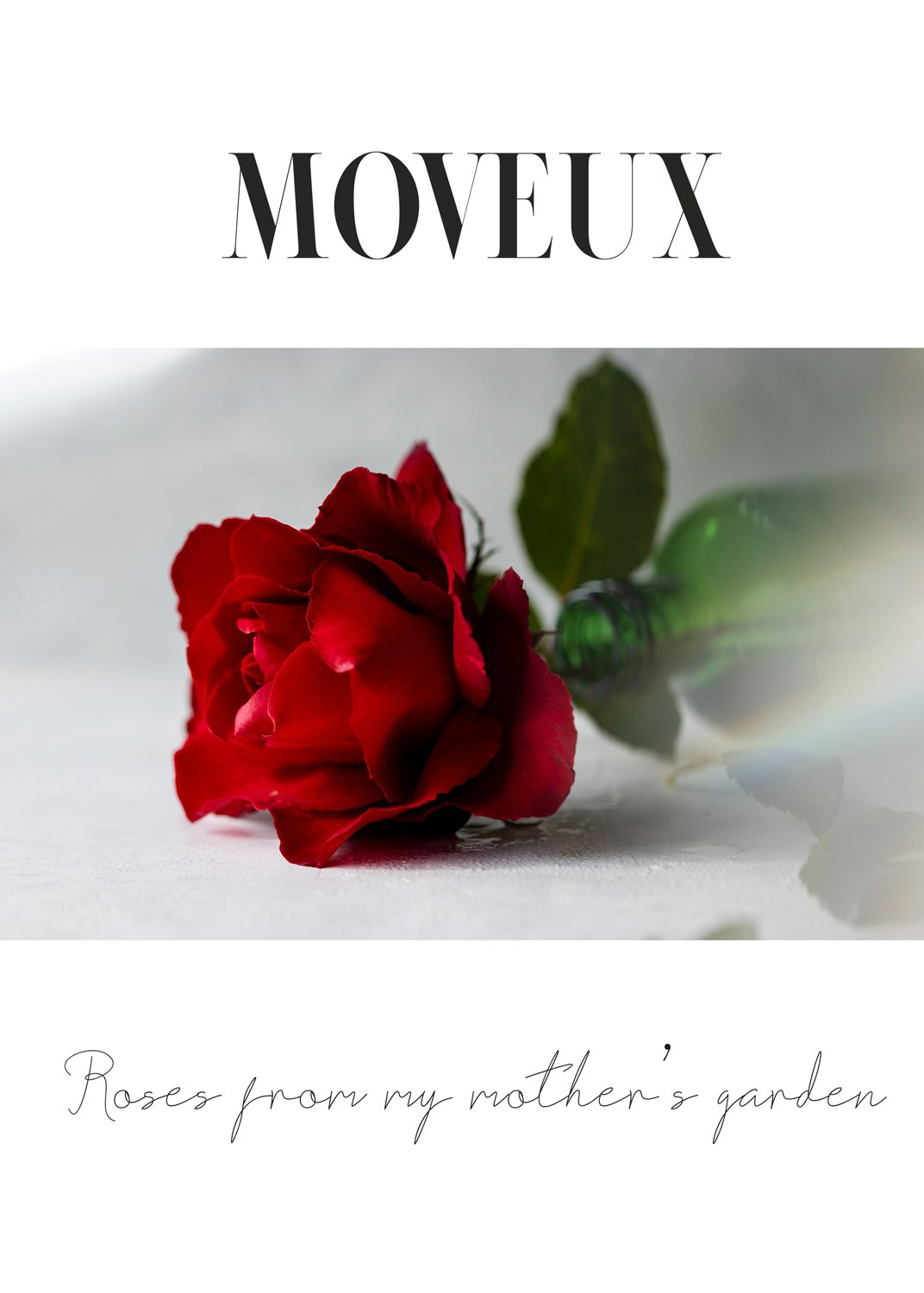 Exhibitions. Author’s fine art prints with international delivery