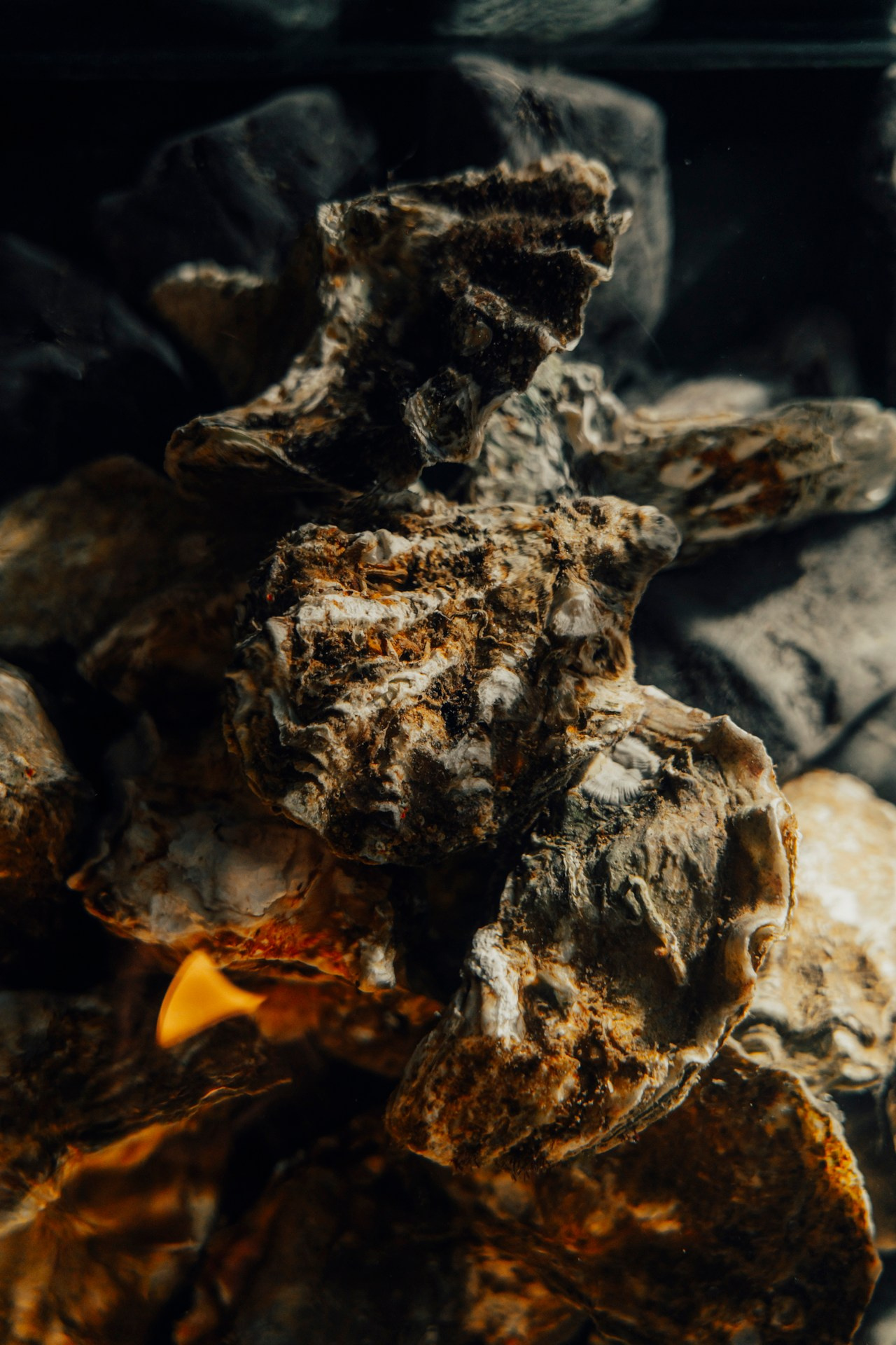 Карнавал в Sapori d'Italia. Фотограф Перминов Никита СПБ