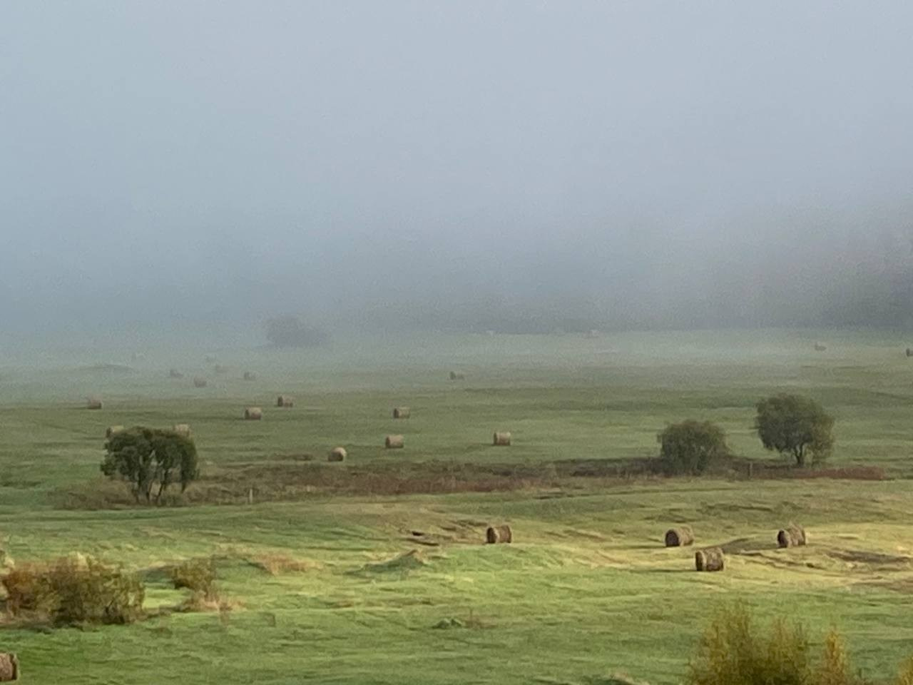 2024. Тащилин Сергей. Фотографии. Жизнь. Хобби