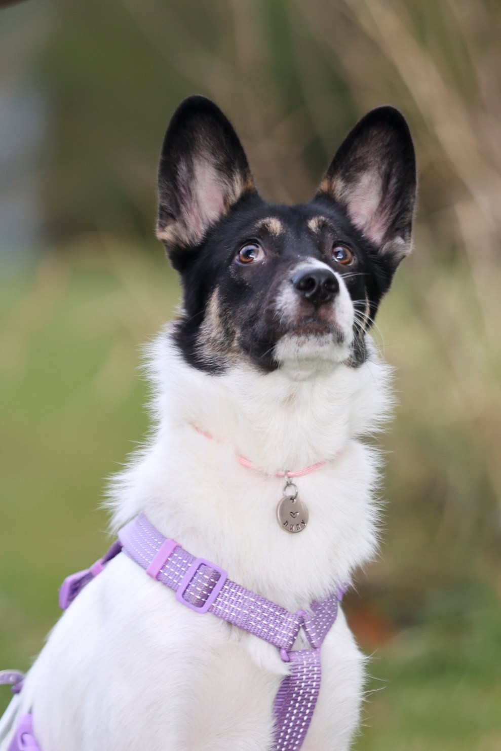 Прогулка Насти и Лилу!. Фотограф 📸 семейный, предметный, репортажный