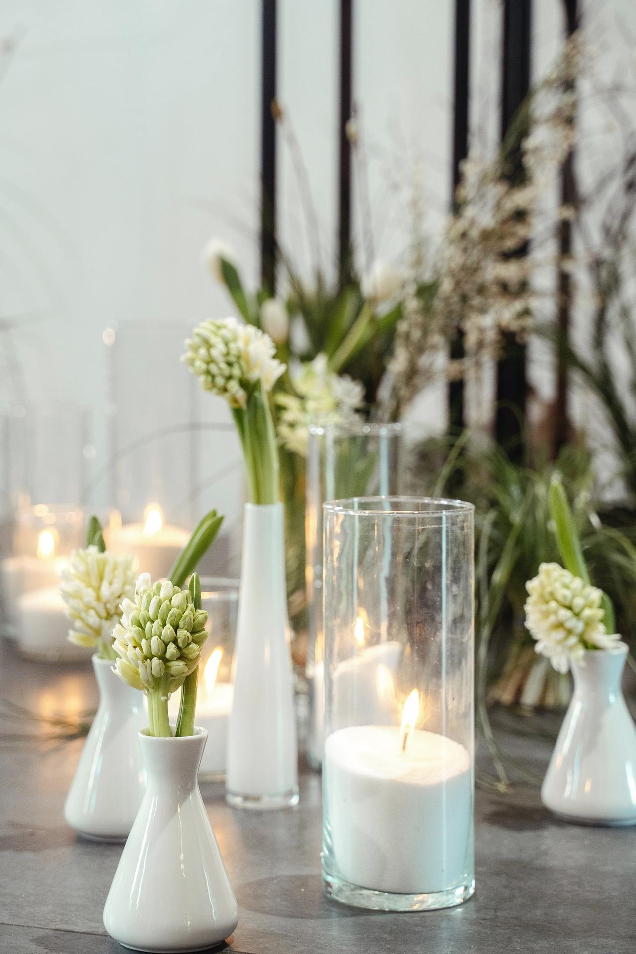 Дмитрий и Анастасия