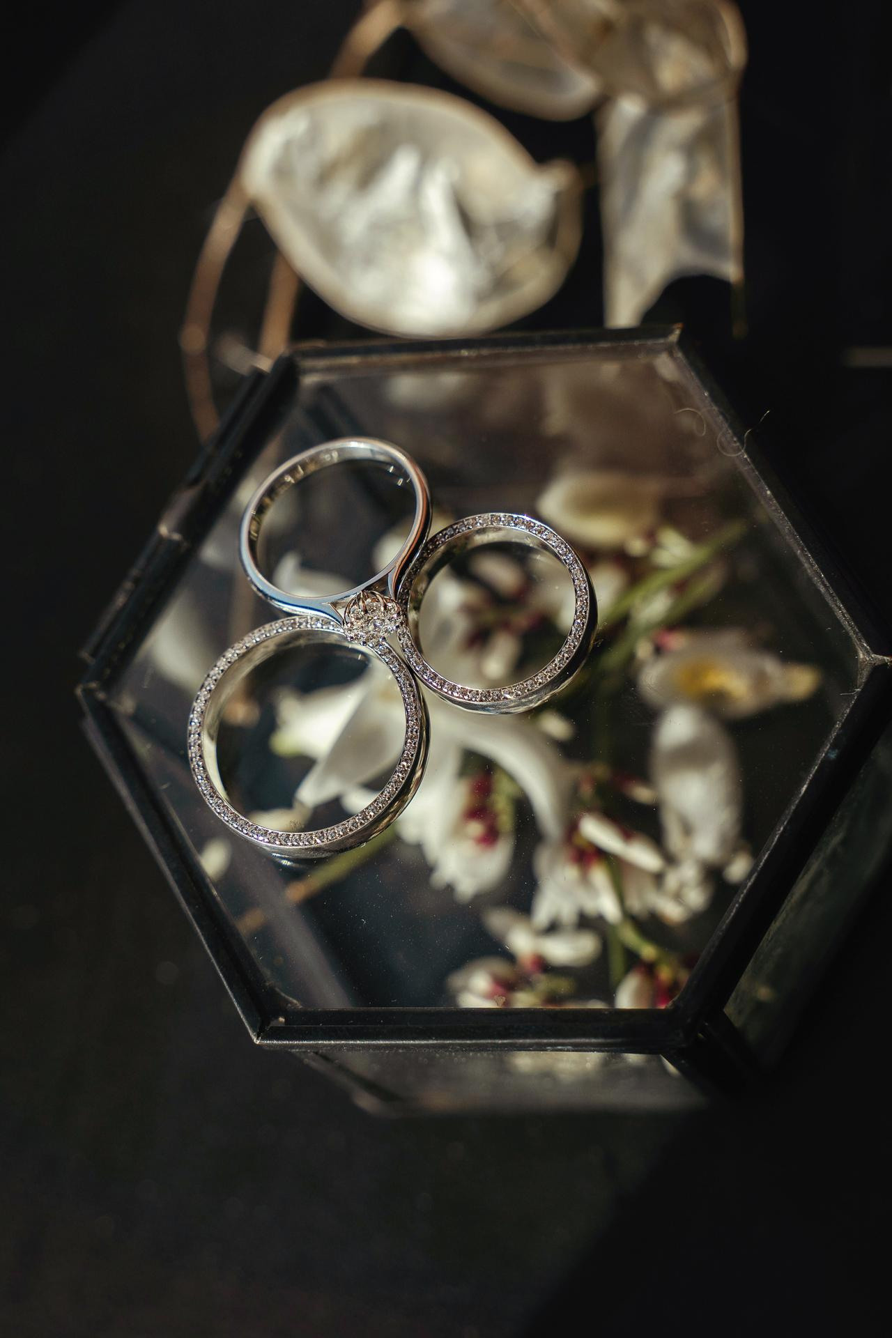 Дмитрий и Анастасия