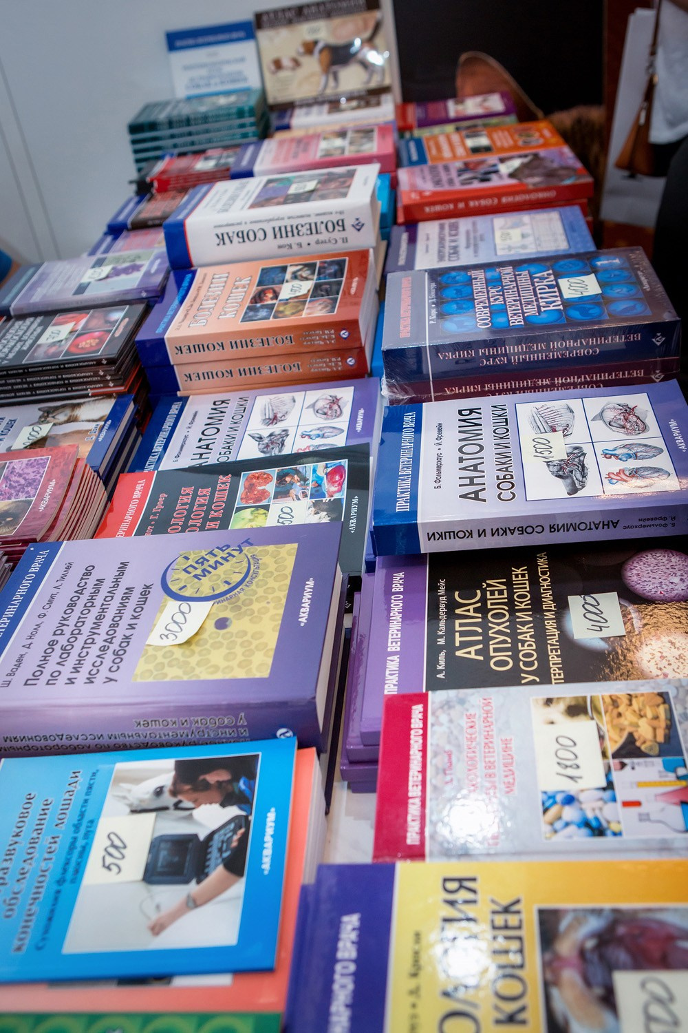 Конференция Purina Partners. Свадебные фотографы Москва, Рязань Ася и Сергей