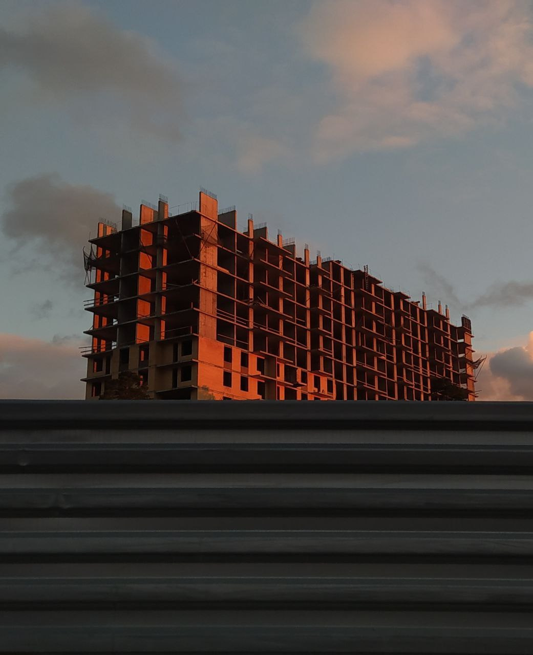 Из сердца лесополосы. Настя Арзуманова, фотограф