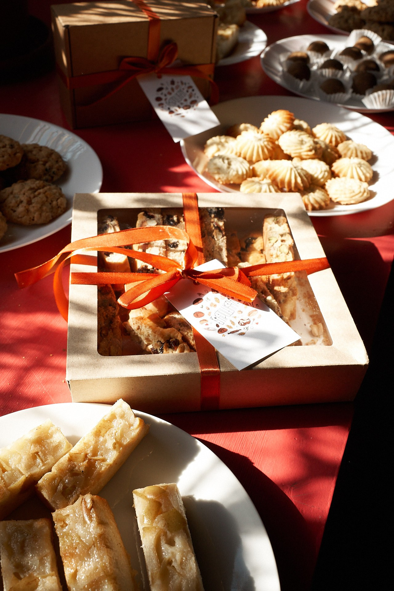 Пёсобиз. Фотограф анималист Москва Дарья