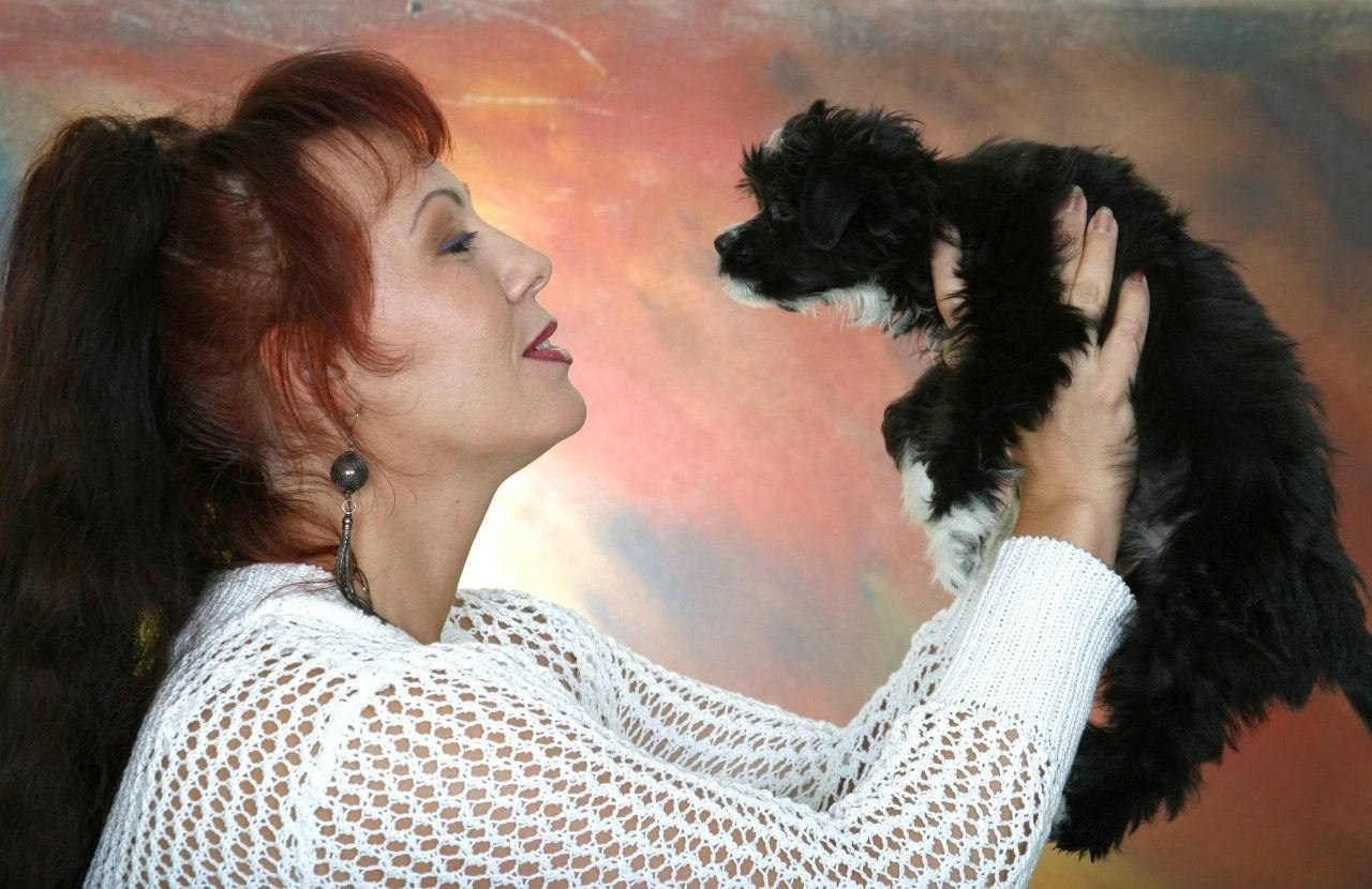 Star Universe. Chinese Crested Dog Kennel Poale Ell