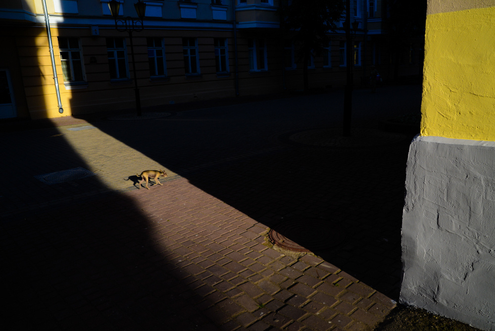 Одиночные фотографии. Алёна Кочеткова | фотограф и преподаватель фотографии