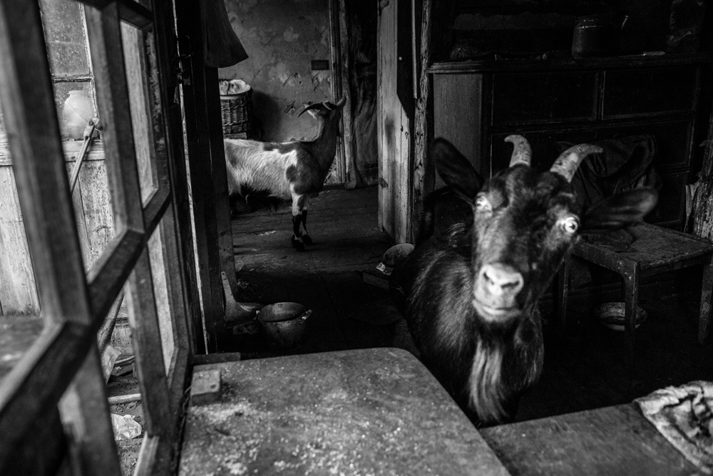 Motherlands. Alyona Kochetkova | Photographer and photography educator