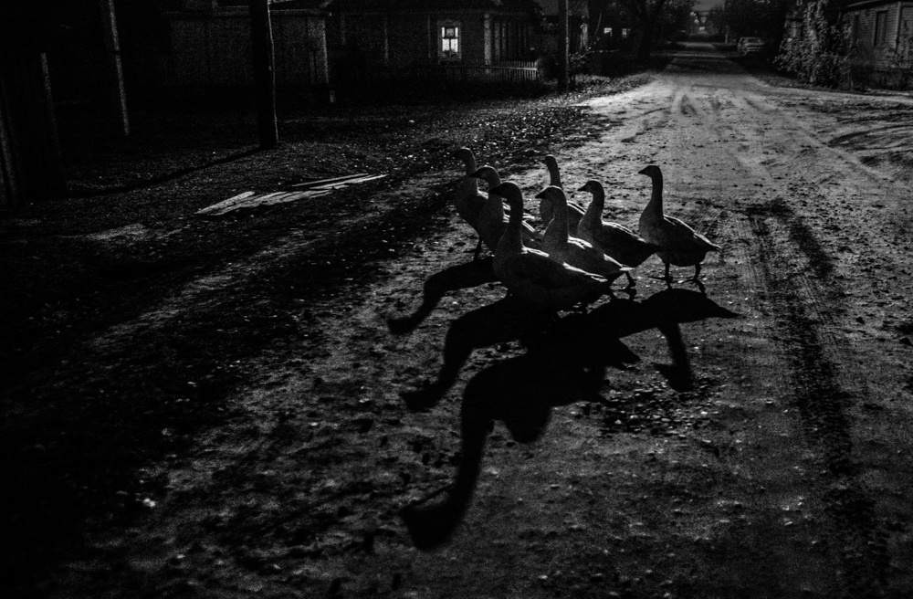 Motherlands. Alyona Kochetkova | Photographer and photography educator