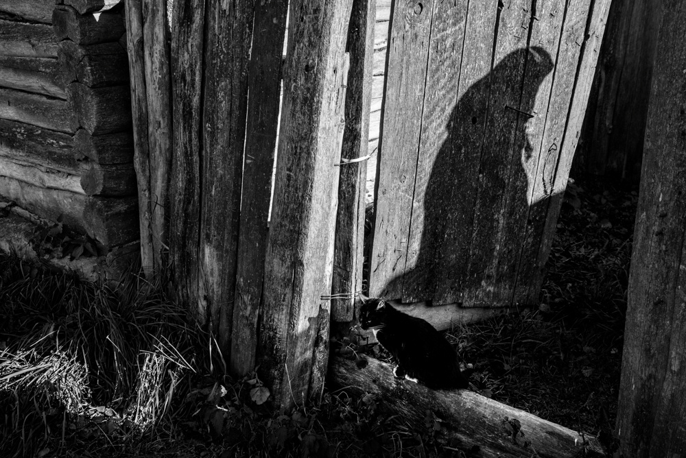 Motherlands. Alyona Kochetkova | Photographer and photography educator